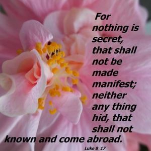 Meet your Posher, Bible info